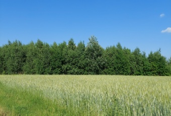 Działka na sprzedaż w Mszczonów   o powierzchni 20200 mkw