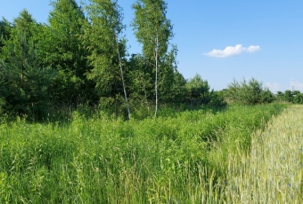 Działka na sprzedaż w Mszczonów   o powierzchni 20200 mkw