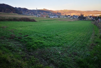 Działka na sprzedaż w Łososina Dolna Tęgoborze Miodowa o powierzchni 1300 mkw