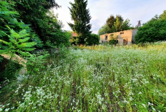 Dom na sprzedaż w Ciechanów Śmiecin Pęchcin o powierzchni 4400 mkw