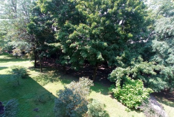 Mieszkanie na sprzedaż w Warszawa Żoliborz Izabelli o powierzchni 53 mkw