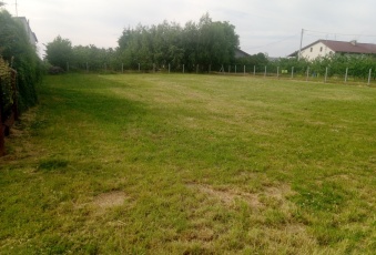 Działka na wynajem w Warka  M. Ropelewskiej o powierzchni 1200 mkw