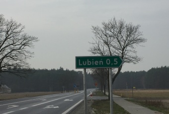 Działka w sercu lasu