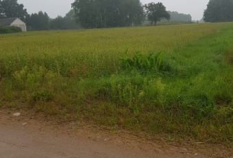 Działka na sprzedaż w Parysów Wola Starogrodzka  o powierzchni 14100 mkw