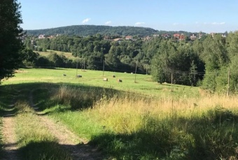 Gospodarstwo rolne 14,03ha - 35km od Krakowa