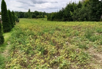Działka na sprzedaż w Iwanowice  maszków ul.Stawowa o powierzchni 8527 mkw