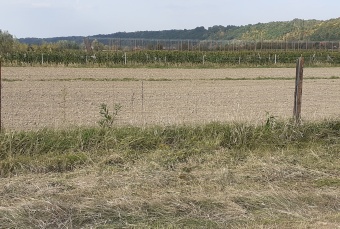 Działka na sprzedaż w Kazimierz Dolny   o powierzchni 7150 mkw
