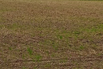 Działka pod zabudowę mieszkaniową dla dewelopera