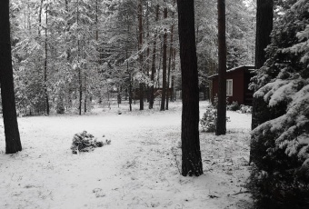 Działka na sprzedaż w Zgierz  Ustronie, ul. Cicha o powierzchni 1600 mkw