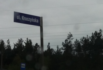 Działka na sprzedaż w Dragacz Fletnowo Kruszyńska o powierzchni 981 mkw