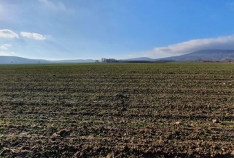 Działka na sprzedaż w Sobótka  Przezdrowice, okolica ul. Rodzinnej o powierzchni 3000 mkw