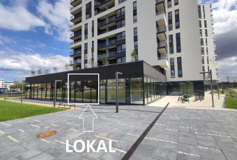 Lokal ul.Hynka, SKM ZASPA os.'ZASPA WITA' 56,55m2