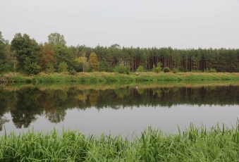 Działka na sprzedaż w Różan  Królowej Bony  o powierzchni 78000 mkw