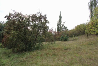 Działka na sprzedaż w Różan  Królowej Bony  o powierzchni 78000 mkw