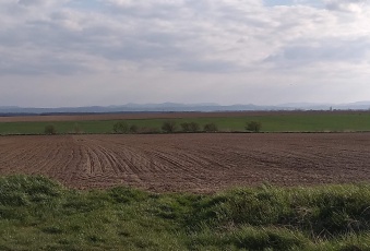 Działka na sprzedaż w Żarów  wieś Mikoszowa o powierzchni 1040 mkw