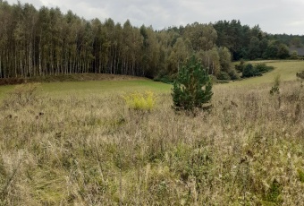 Sprzedam siedlisko z budynkiem Mazury Skarlin