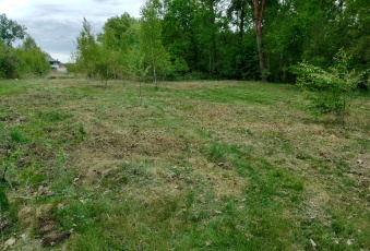  Sprzedam działkę budowlaną 1187 m2 ul. Pastuszków