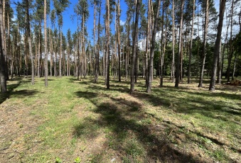 Działka na sprzedaż w Otwock Mlądz Krecia o powierzchni 9800 mkw