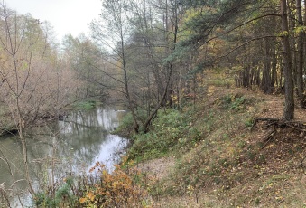 Działka na sprzedaż w Otwock Mlądz Krecia o powierzchni 9800 mkw