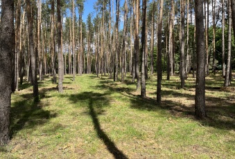 Działka na sprzedaż w Otwock Mlądz Krecia o powierzchni 9800 mkw