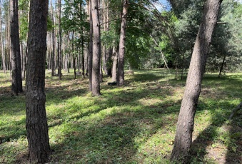 Działka na sprzedaż w Otwock Mlądz Krecia o powierzchni 9800 mkw