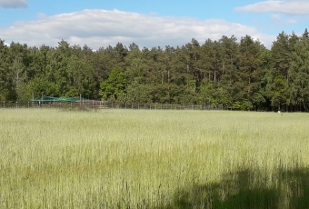 Kilka działek o pow. 3000m2 w pięknej okolicy