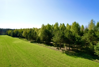 Działka na sprzedaż w Skrwilno Wólka  o powierzchni 3100 mkw