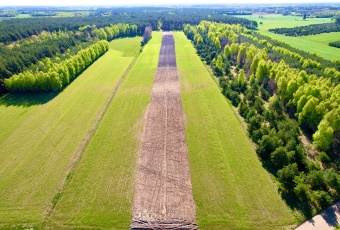 Działka na sprzedaż w Skrwilno Wólka  o powierzchni 3100 mkw