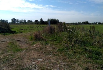 Działka na sprzedaż w Radzymin   Radzymin o powierzchni 603 mkw