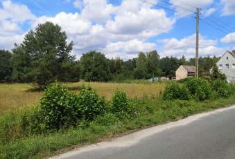 Sprzedam działki w Jodłowicach, niecałe 80zl/m2!