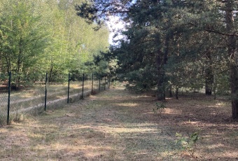 Malowniczo położona budowlana na skraju lasu