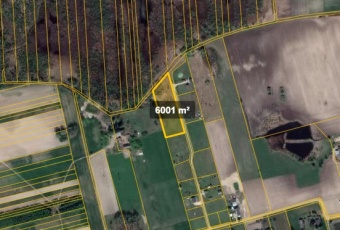 6000 m2 przy "Uroczysku Biele" 70 km od Warszawy