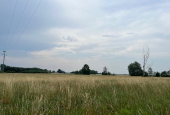 Działka na sprzedaż w Bolimów Kurabka brak o powierzchni 3002 mkw