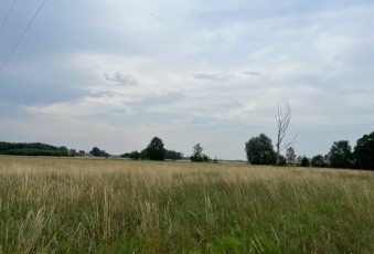 Działka na sprzedaż w Bolimów Kurabka brak o powierzchni 3002 mkw