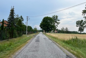 Działka na sprzedaż w Bolimów Kurabka brak o powierzchni 3002 mkw