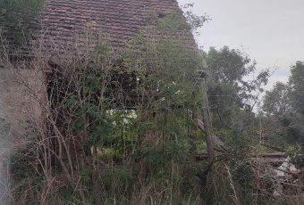 Działki, sprzedaż, Krępa (gm. Przemków)