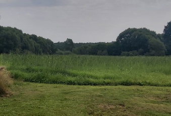 Tanie działki budowlane na sprzedaż