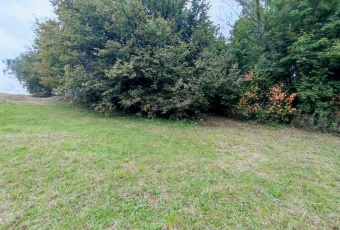 Działka na sprzedaż w Czarny Dunajec Stare Bystre Szeligówka o powierzchni 2910 mkw