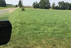 działk asfalt z dwuch stron 