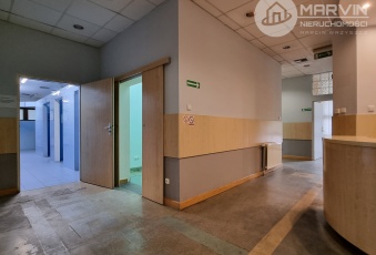 Komercja na wynajem w Poznań Nowe Miasto Wiankowa o powierzchni 321 mkw
