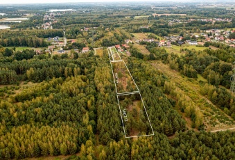 Wierzchosławice z WZ wśród drzew unikat