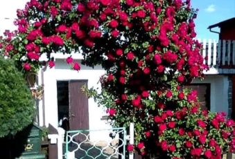 Dom na sprzedaż w Piechowice Górzyniec  o powierzchni 310 mkw