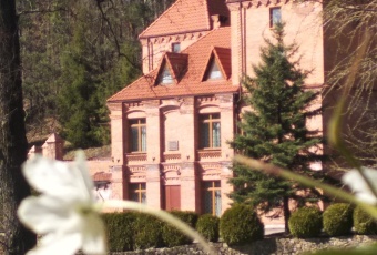 Zamek dworek sprzedam