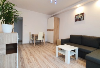 Mieszkanie na wynajem w Poznań Nowe Miasto Przemysława o powierzchni 47 mkw