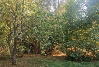 Działka na sprzedaż w Łochów   o powierzchni 900 mkw