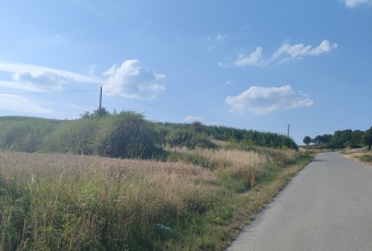 Sprzedam Działkę (93ar)