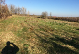 Działka na sprzedaż w Chynów Rososzka  o powierzchni 4700 mkw