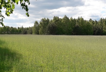 Atrakcyjne działki blisko Warszawy