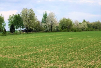 DZIAŁKA Rol-Budowlana WOLBROM (Poręba Dzierżna)