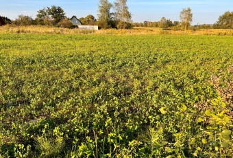 Działka na sprzedaż w Czernichów Wołowice Krańcowa o powierzchni 4500 mkw